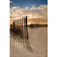 Celebrate Life Gallery  - Dune Fence at Sunrise