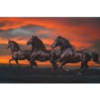 Bob Langrish - Mystical Horses