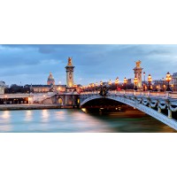 Alfred Yung - Paris Bridge  