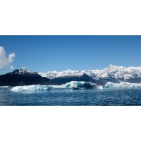 Vincent Larrie - Icebergs  