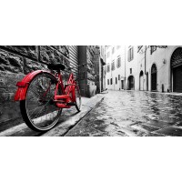 Doris Berry - Red Vintage Bike on Cobblestone