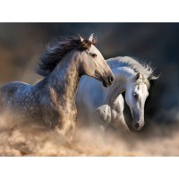 Edith Leanne - Horses - Running at Dusk  