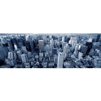 Jay Patterson - Arial View of Manhattan NY  