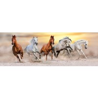 Jocelyn Borivoj - Horse Run In Desert  