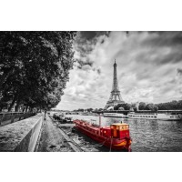 Pero Roshni - Eiffel Tower Over Seine River In Paris  