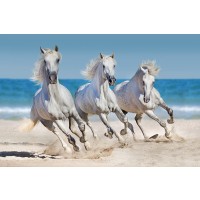 Jocelyn Borivoj - Horses Run Along The Coast  