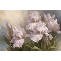 Igor Levashov - White Iris Elegance II  