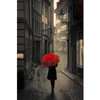 Stefano Corso - Red Rain  