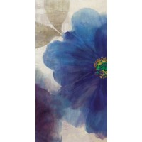 Asia Jenson - Shades Of Indigo I 