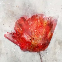 Ken Roko - Inky Floral II 