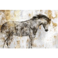 PI Studio - Equestrian 