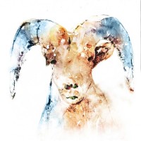 Edward Selkirk - Watercolour Ram 
