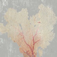 Aimee Wilson - Blush Coral I 
