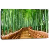 Japan Bamboo Forest - Kyoto  