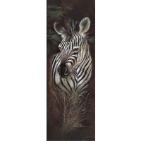 Ruane Manning -Zebra - Striped Innocence