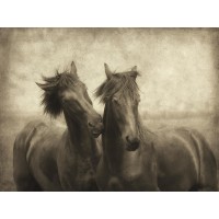 Lars Van de Goor - Horses Don't Whisper
