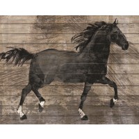 Conrad Knutsen - Barnwood Horse