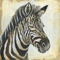Tava Studios - Patterned Zebra
