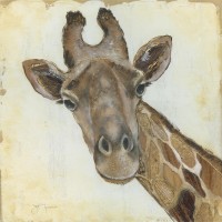 Tava Studios - Patterned Giraffe