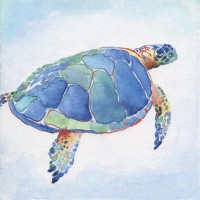 Tava Studios - Galapagos Sea Turtle I