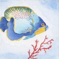 Tava Studios - Galapagos Fish I