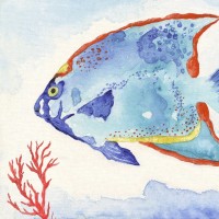 Tava Studios - Galapagos Fish II
