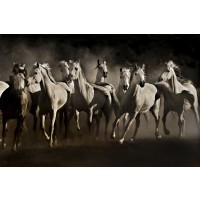 Lisa Dearing - Dream Horses