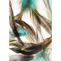 Incado - Floating Feathers
