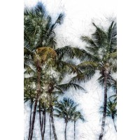Golie Miamee - Dorado Palms 2