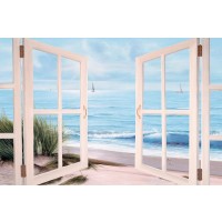 Diane Romanello - Sandpiper Beach Door