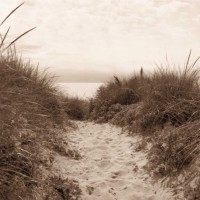 Christine Tirebert - Dune Path