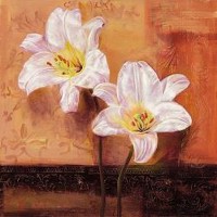Anna Gardner - Floral Lirios