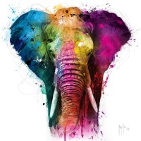 Patrice Murciano - Animals - Elephant - Africa Pop
