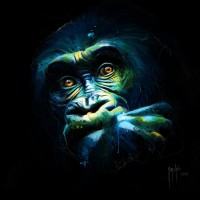 Patrice Murciano - Animals - Gorilla - Black Kong