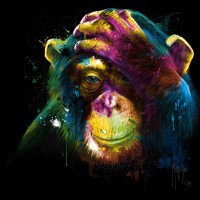 Patrice Murciano - Animals - Chimp - Darwin Preoccupations