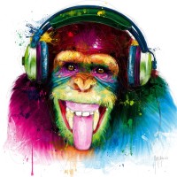 Patrice Murciano - Animals - Chimp - DJ Monkey