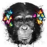 Patrice Murciano - Animals - Chimp - Can't Hear