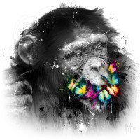 Patrice Murciano - Animals - Chimp - Can't Speak