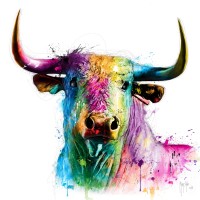 Patrice Murciano - Animals - Bull - El Toro
