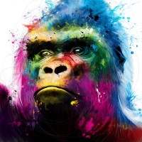 Patrice Murciano - Animals - Gorilla