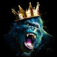 Patrice Murciano - Animals - Gorilla - King Kong