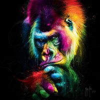 Patrice Murciano - Animals - Gorilla - Le vieux sage (The old Wise)