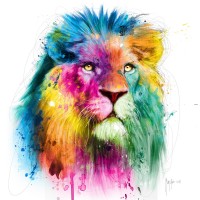 Patrice Murciano - Animals - Lion