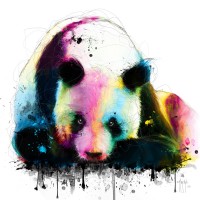 Patrice Murciano - Animals - Panda - Meditation