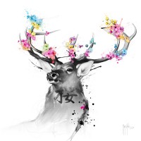 Patrice Murciano - Animals - Deer - O Hanami