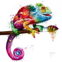 Patrice Murciano - Animals - Chameleon - Pop Evolution