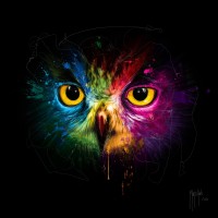 Patrice Murciano - Animals - Owl - Pop