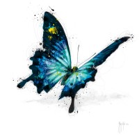 Patrice Murciano - Animals - Butterfly - Papillon