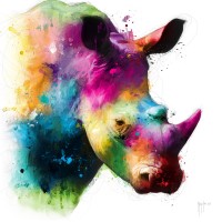 Patrice Murciano - Animals - Rhinoceros