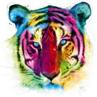 Patrice Murciano - Animals - Tiger